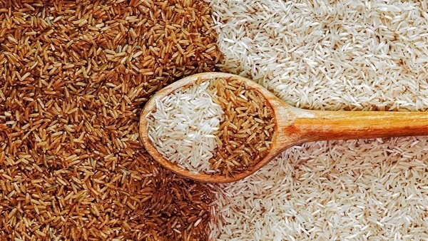 سعر طن الأرز الشعير اليوم السبت 14 يونيو 2025