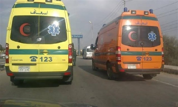 بالأسماء.. إصابة 7عمال زراعيين في تصادم سيارتين بصحراوي البحيرة