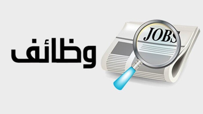 وظائف وزارة الشباب والرياضة 2025.. الشروط والتخصصات المطلوبة