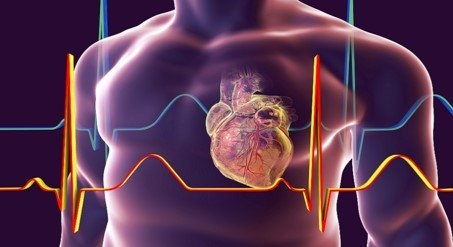 هل ألم المعدة علامة على مرض في القلب؟.. أستاذ الحالات الحرجة يوضح