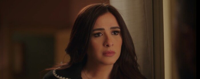 مواعيد عرض مسلسل وتقابل حبيب الحلقة 29 والقنوات الناقلة