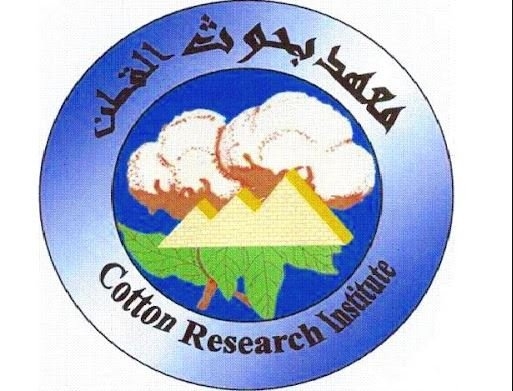 معهد بحوث القطن يعزز الإنتاجية الزراعية خلال مارس 2025