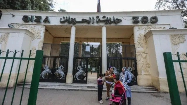 «قبل ولا بعد عيد الأضحى 2025».. موعد افتتاح حديقة الحيوان وأسعار التذاكر