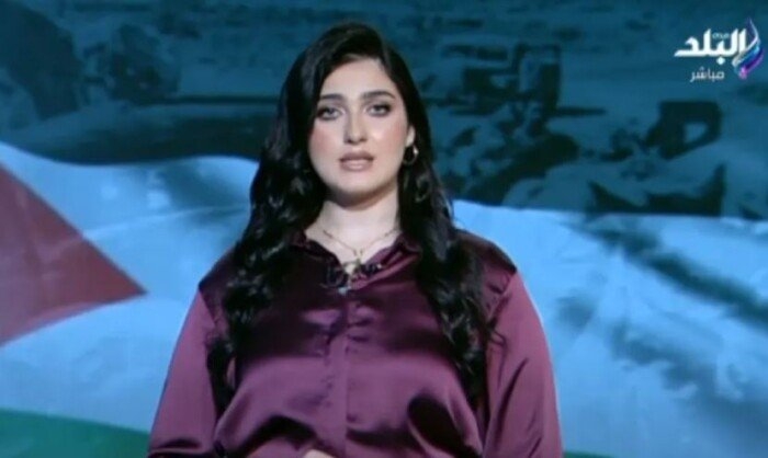 روان أبو العينين: مصر تواجه تحديات إقليمية متصاعدة.. كيف ستتعامل مع الأزمات؟