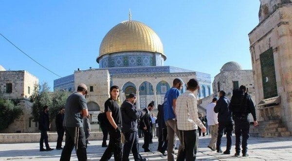 مستوطنون يقتحمون المسجد الأقصى وسط حماية قوات الاحتلال