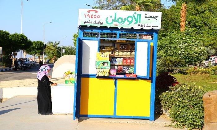 الأورمان تسلم 451 كشك مجهز للأولى بالرعاية بقرى ونجوع الدقهلية