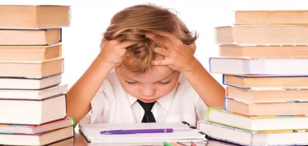 لزيادة التركيز في المذاكرة قبل الامتحانات.. أطعمة وأكلات لها مفعول السحر