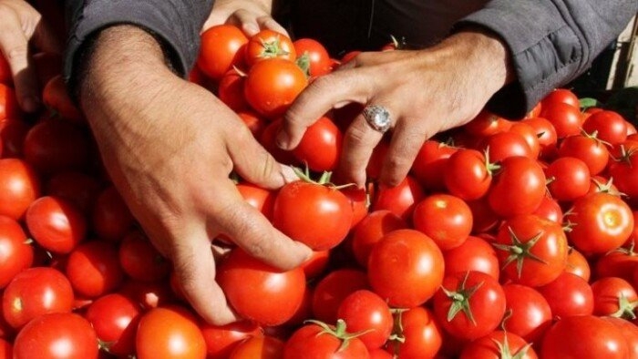 البصل بكام؟.. أسعار الخضروات في سوق العبور اليوم الأحد 18 مايو 2025