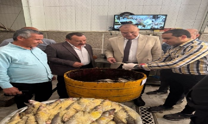 ضبط 20 طن رنجة وسمك غير صالح للاستهلاك الآدمي بالشرقية