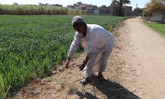 تيار كهربائي بلا أعمدة.. أخطار تهدد حياة الأهالي في عزبة الخليلي بأرمنت