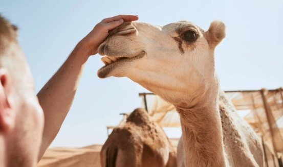 ما هي متلازمة الشرق الأوسط التنفسية؟.. الصحة العالمية تحذر من هذه الأعراض