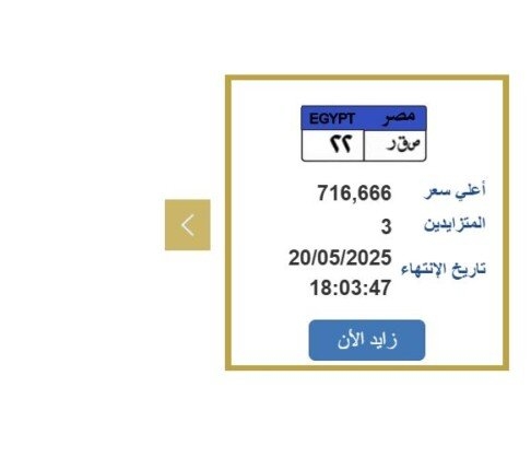 التزايد ينتهي غدًا.. «المرور» تطرح لوحة سيارة مميزة سعرها 716 ألف جنيه