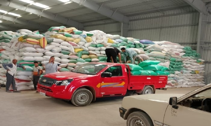 حصاد الخير.. توريد 221 ألف طن قمح لشون وصوامع البحيرة