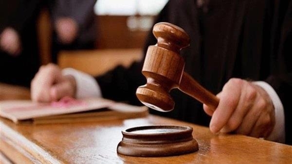 للحكم.. حجز قضية وثائق التأمين على الحياة الدولارية «تشب» و«آيس»