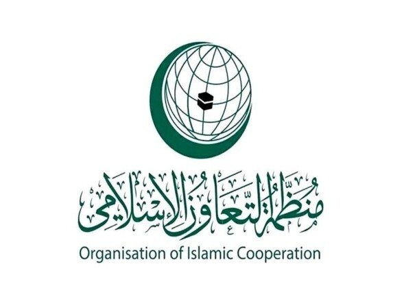 وكيل النواب يُشارك في أعمال اتحاد مجالس الدول الأعضاء في منظمة التعاون الإسلامي
