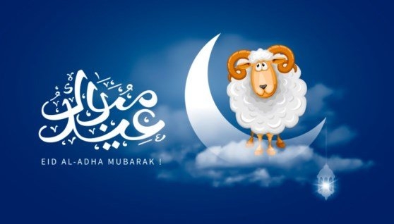صيغة تكبيرات عيد الأضحى 2025 مكتوبة.. «الله أكبر كبيرًا»
