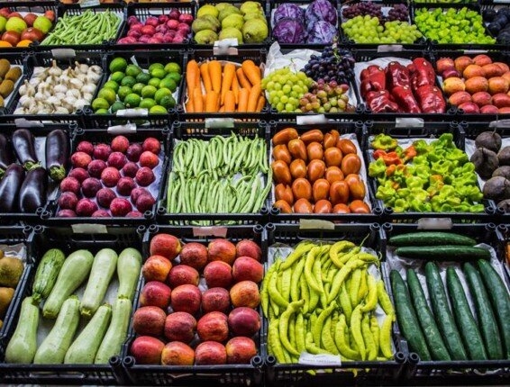أسعار الخضروات والفاكهة اليوم الخميس 19-6-2025 في سوق العبور