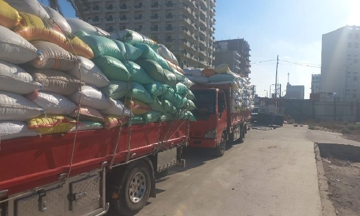 توريد 240ألف طن قمح لشون وصوامع البحيرة