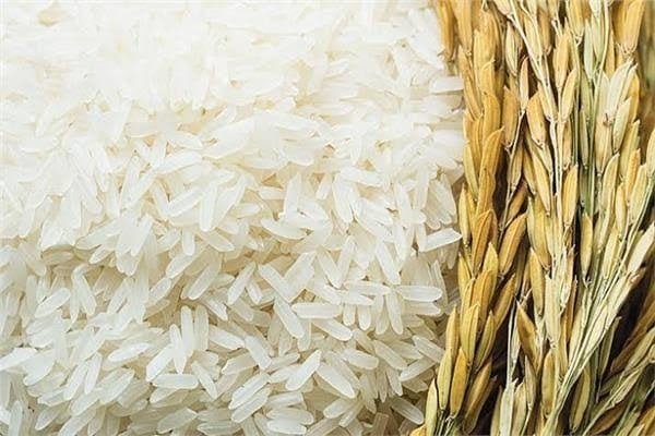 سعر طن الأرز الشعير اليوم الثلاثاء 24 يونيو 2025 في الأسواق
