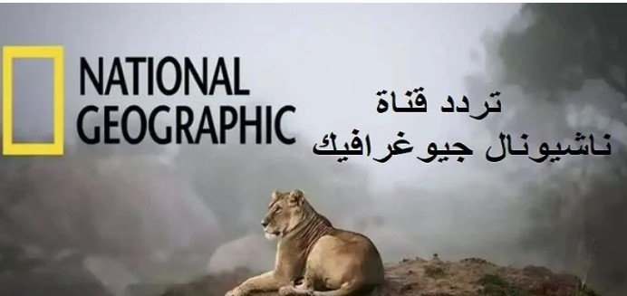 تردد قناة ناشيونال جيوغرافيك نايل سات 2025.. تاريخ الحروب بين الهند وباكستان