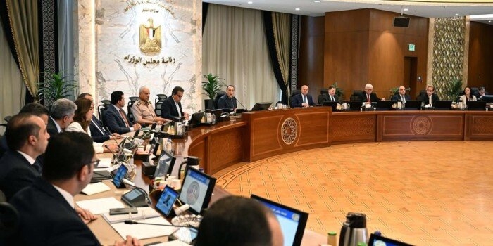 قرار جديد من مجلس الوزراء بشأن تعريفة التغذية الكهربائية لمشروعات توليد الطاقة