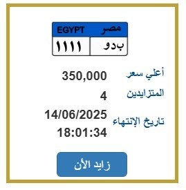 بـ 350 ألف جنيه.. طرح التزايد على لوحة سيارة مميزة