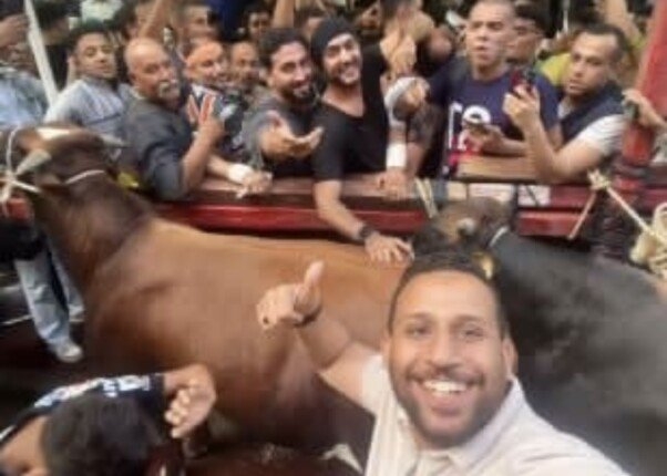 «ضحيت وسط أهلي».. أحمد العوضي يحتفل بعيد الأضحى بين جيرانه في عين شمس (فيديو)