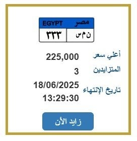 بـ 225 ألف جنيه.. طرح التزايد على لوحة سيارة مميزة