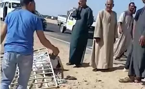 بينهم طفلة.. مصرع 3 أشخاص وإصابة 11 آخرين إثر انقلاب ميكروباص بصحراوي المنيا