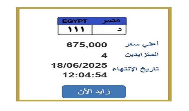 سعرها تخطى 600 ألف جنيه.. التزايد على لوحة سيارة مميزة ينتهي خلال ساعات