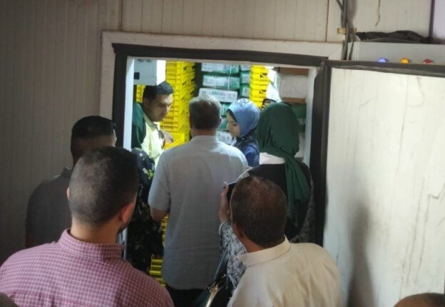 ضبط 8 أطنان دواجن غير صالحة للاستهلاك بالقليوبية في حملة قادتها نائب المحافظ