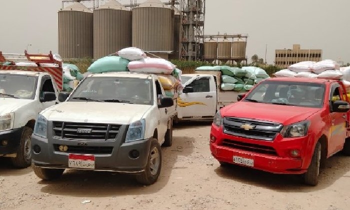 توريد 315 ألف طن قمح لشون وصوامع البحيرة
