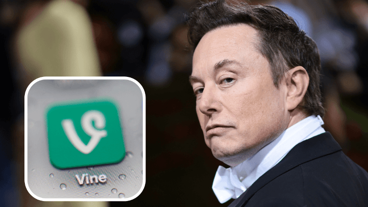 إيلون ماسك يخطط لإعادة إطلاق تطبيق Vine بلمسة ذكاء اصطناعي - منوعات : البلاد