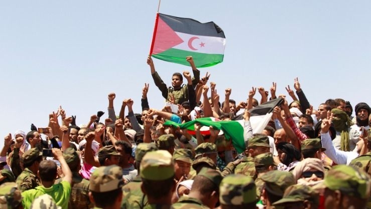 المؤتمر الوطني الإفريقي يجدّد دعمه الثابت لشعب الصحراء الغربية ويفنّد مزاعم المغرب - الدولي : البلاد