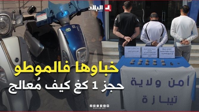 فيديو - " توقيف 3 أشخاص وحجز كيلوغرام من الكيف المعالج " .. شرطة القليعة ( تيبازة )تفكك شبكة لترويج المخدرات : البلاد