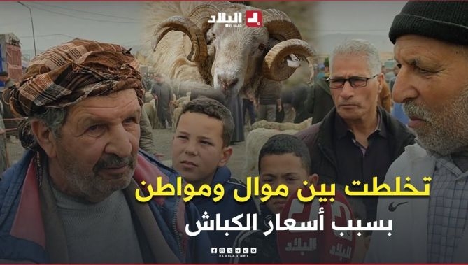 شاهدوا ماذا جرى بين موال ومواطن بخصوص أسعار الكباش بسوق المواشي بولاية البويرة..