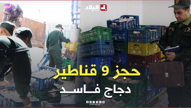 عين تموشنت .. الدرك الوطني يحجز 900 كغ من اللحوم البيضاء غير صالحة للإستهلاك البشري