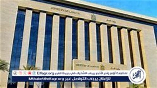 فرص عمل برواتب تصل إلى 82 ألف جنيه شهريًا.. والتقديم لمدة 5 أيام