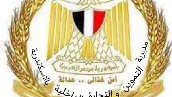 حملات رقابية تحرر 55 محضر بمخالفات للمخابز والبقالة التموينية في الإسكندرية