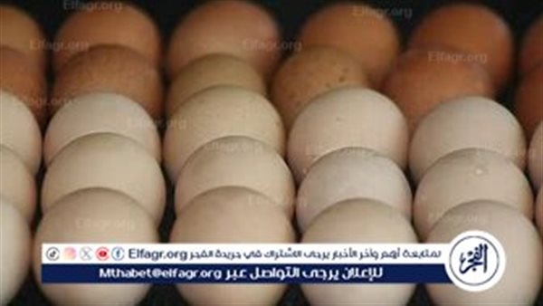 أسعار طبق البيض اليوم الاحد 29-6-2025 في قنا