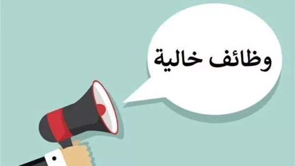 فرص عمل جديدة في 3 محافظات.. «الشباب والرياضة» تُعلن عن وظائف شاغرة
