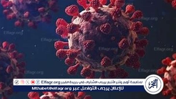 عاجل:- اكتشاف فيروس كورونا جديد في الصين.. هل يشكل تهديدًا للبشر؟