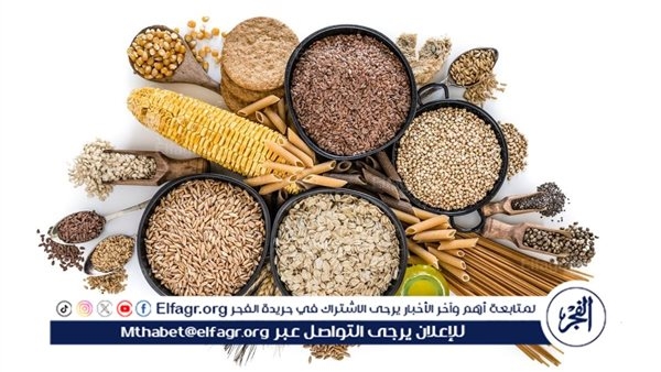 متابعة يومية لأسعار أعلاف الدواجن في مصر وتأثيرها على السوق