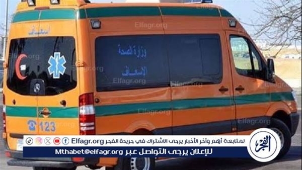 حادث دهس يؤدي لوفاة شاب وابنة عمه في قرية الشرفا بالمنيا