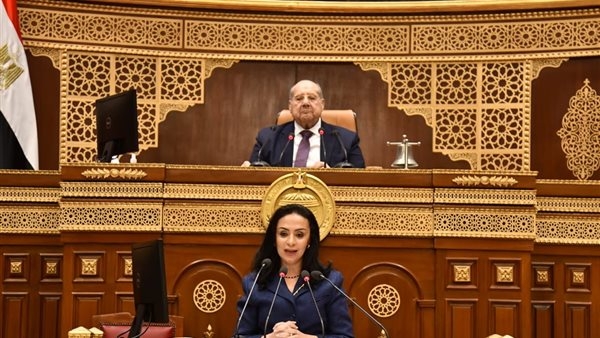 وزيرة التضامن أمام "الشيوخ": رفع مستفيدي "تكافل وكرامة" إلى 4.7 مليون أسرة بحلول 2025