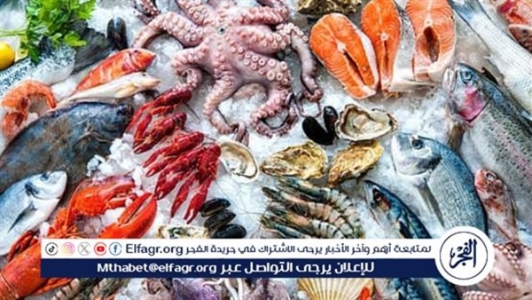أسعار المأكولات البحرية والجمبري اليوم الثلاثاء 20-5-2025 في محافظة قنا