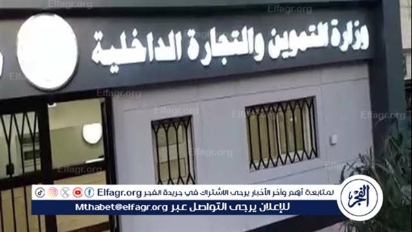 ضبط 1200 علبة صلصة مجهولة المصدر بحملة تموينية مكثفة في الإسكندرية