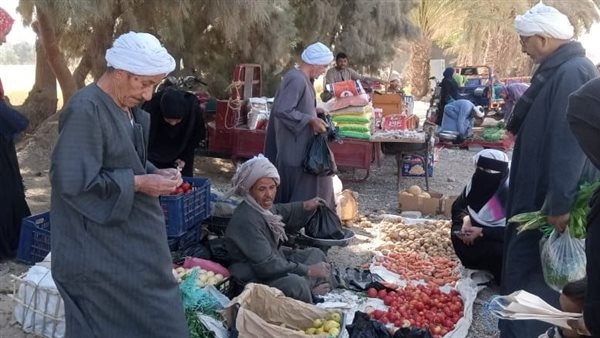 رئيس مدينة الزينية يتابع أعمال سوق اليوم الواحد بالمدامود بحري في الأقصر