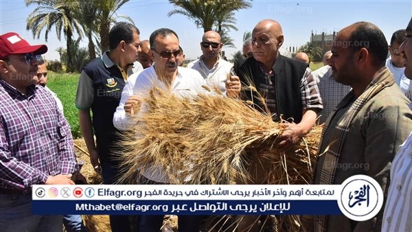 محافظ أسيوط يشهد بدء موسم حصاد القمح بإحدى الحقول بقرية درنكه وسط فرحة المزارعين