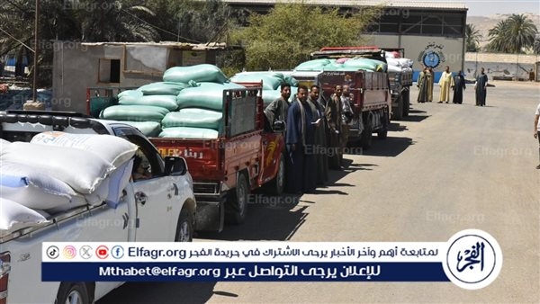 محافظ أسيوط: توريد 9356 طنًا من حصاد القمح للشون والصوامع حتى اليوم